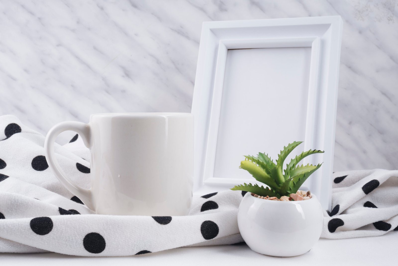 Paula B.'s review photo